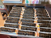 고래김밥