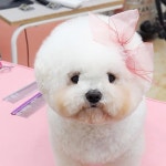 니니앤제리