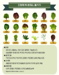 계절쌈가