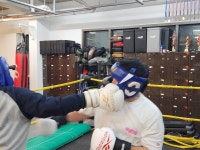 용인대NEW복싱 본점