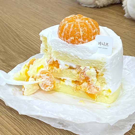 피니프 사진