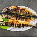 속초오징어어시장 안산고잔점