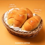 매머드익스프레스 SKn테크노파크테크동점