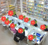 센클 영어 도서관 세종점