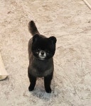 똘이살롱