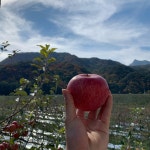 문경꿀탱이농원