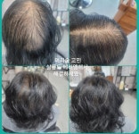 살롱드메리엘