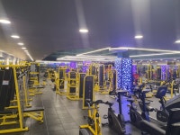 H휘트니스