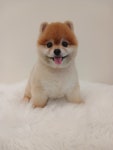멍글몽글