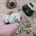 와우펫앤쥬 진주점