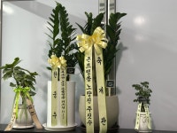 존프랭클 오송 위즈덤 주짓수