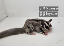 와우펫앤쥬 진주점