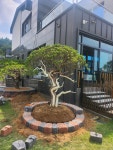 이한조경