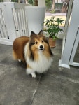 우리몽
