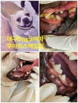 모이따