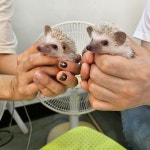 와우펫앤쥬 진주점