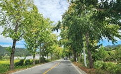 원주민부동산공인중개사사무소