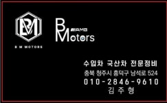 비엠모터스
