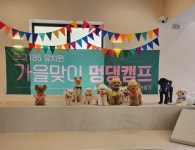 도그185 애견유치원&애견호텔