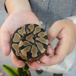 와우펫앤쥬 진주점