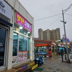 부산갈매기