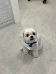 코트니룸