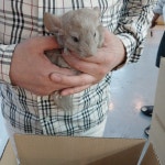 와우펫앤쥬 진주점