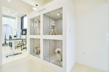 멜로우퍼피 애견미용실 호텔