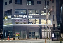 금빛동물의료센터