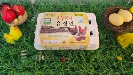 좋은계란할인점 양주옥정점