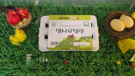 좋은계란할인점 양주옥정점