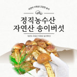 정직농수산