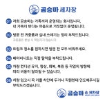 곰승마 손세차장