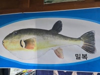 동해복집