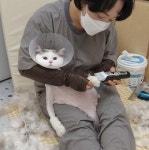 심쿵하냥 고양이미용&호텔