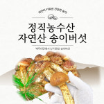 정직농수산