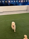 멍학교