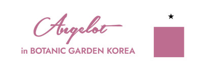 아주르852 천안앙즈로여성병원점