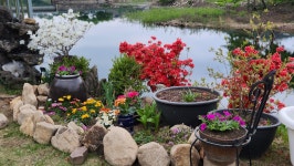 예다움사랑채 펜션