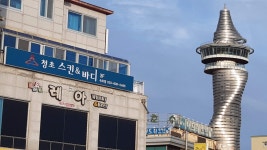 청초스킨앤바디