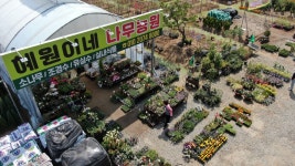 혜원이네 나무농원