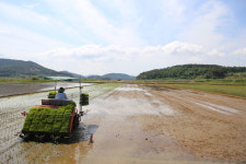 죽청정미소