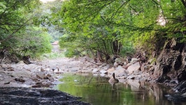 예다움사랑채 펜션