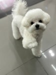 The예뻐질개