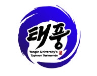 용인대태풍태권도