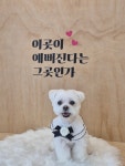 멍샤워