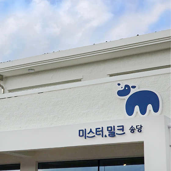 미스터밀크 송당 사진