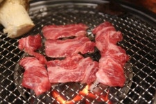 우대참치