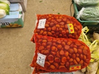 정일상회