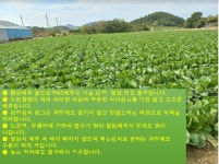 해인농장